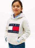 Gri Hanorac Din Terry Heritage Cu Steag  Copii unisex