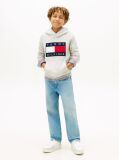 Gri Hanorac Din Terry Heritage Cu Steag  Copii unisex
