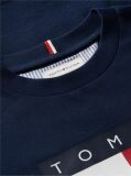 Blue Peanuts® Flag Graphic Jersey T-Shirt  Kids Unisex