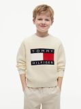 Bej Pulover Heritage Cu Steag  Baieti