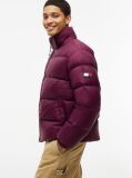 Purple Water Repellent Down Jacket  Men