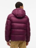 Purple Water Repellent Down Jacket  Men