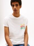 Bej Tricou Cu Grafic Logo Pe Spate  Barbati