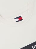 Bej Tricou Cu Guler Rotund Si Insigna Cu Steag  Barbati