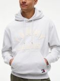 Gri Hanorac Cu Fleece Croiala Lejera Si Logo Clasic  Barbati