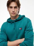 Blue Regular Classic Hoody  Men