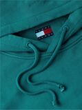Blue Regular Classic Hoody  Men