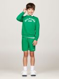 Verde Pantaloni Scurti Cu Emblema Brodata Hilfiger  Baieti