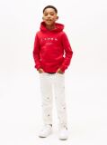 White Hilfiger Flag Embroidery White Jeans  Boys