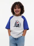 Blue Logo Colour-Blocked Raglan Sleeve T-Shirt  Boys