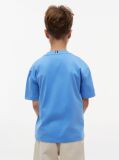 Blue T-Shirt Cu Steag  Baieti