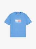Blue T-Shirt Cu Steag  Baieti