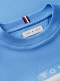 Blue T-Shirt Cu Steag  Baieti