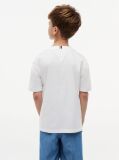 Alb T-Shirt Cu Steag  Baieti