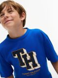 Blue Varsity Logo Jersey T-Shirt  Boys