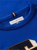 Blue Varsity Logo Jersey T-Shirt  Boys