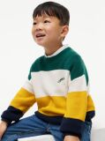 Multi Colour-Blocked Stripe Crew Neck Jumper  Kids Unisex