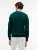 Verde Jumper Din Bumbac Si Casmir Crew Neck  Barbati