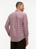 Multi Camasa Oxford Gingham Cu Croiala Regular Fit  Barbati