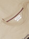 Bej Tricou Cu Imprimeu Grafic Si Logo  Barbati