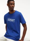Blue Tricou Cu Imprimeu Grafic Si Logo  Barbati