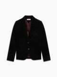 Black Regular Fit Crest Gold-Tone Button Velvet Blazer  Women
