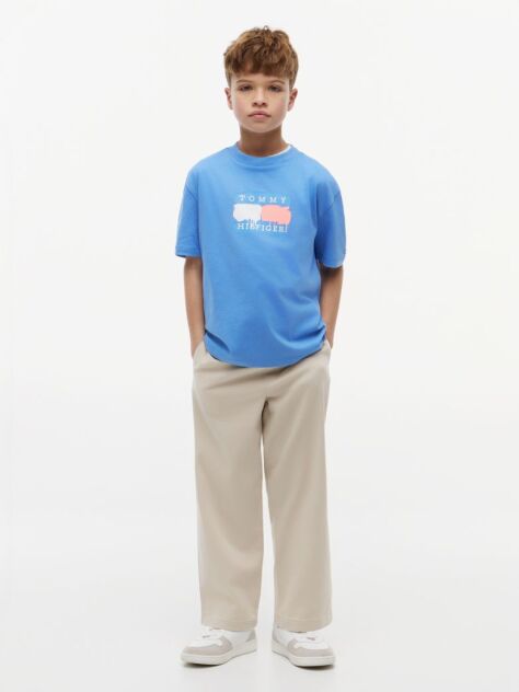 Blue T-Shirt Cu Steag  Baieti