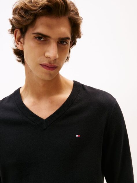 Negru Pulover Regular Fit  Cu Guler V-Neck   Barbati