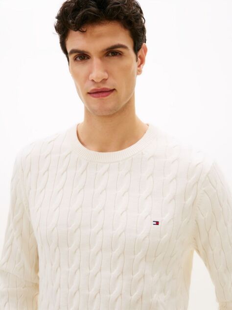 Bej Jumper Cu Guler Rotund Din Tricot  Barbati