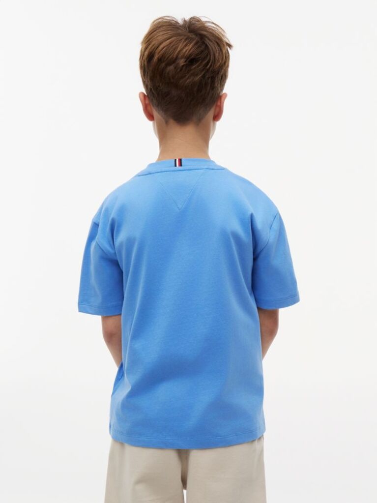 Blue T-Shirt Cu Steag  Baieti