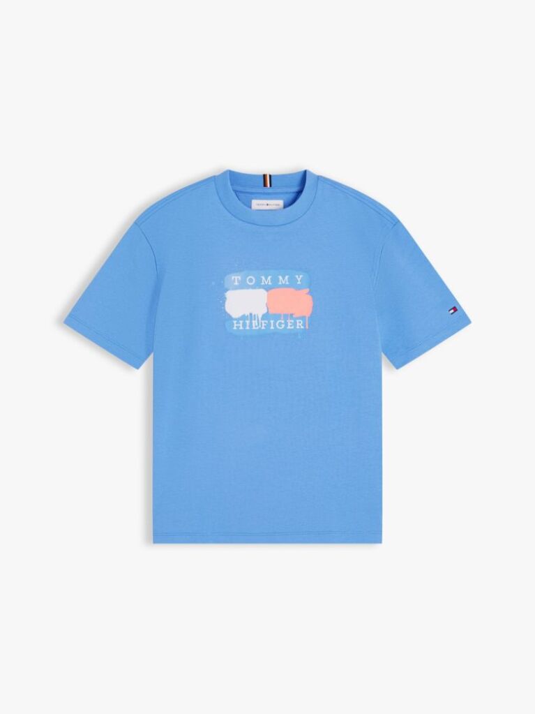 Blue T-Shirt Cu Steag  Baieti