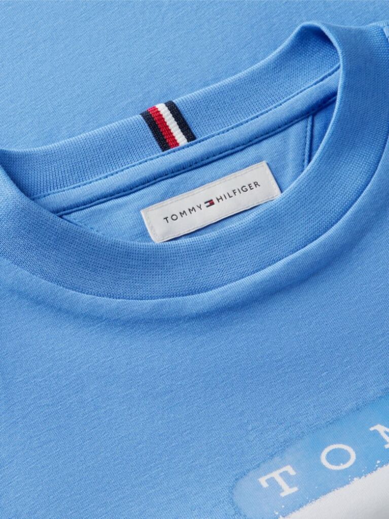 Blue T-Shirt Cu Steag  Baieti